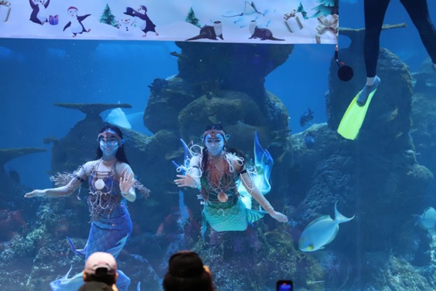 Jakarta Aquarium dan Safari